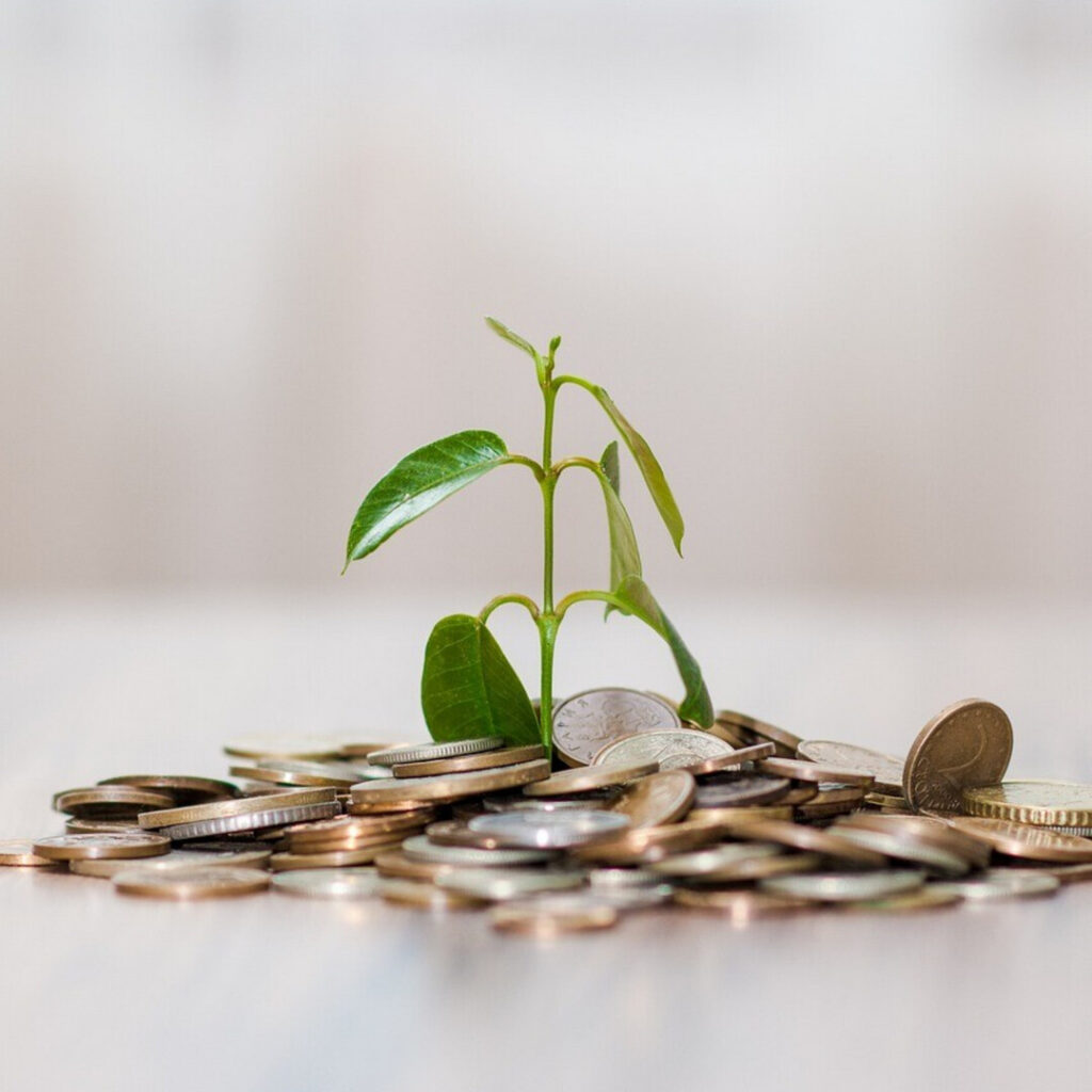 A green sprout growing out of a pile of coins.